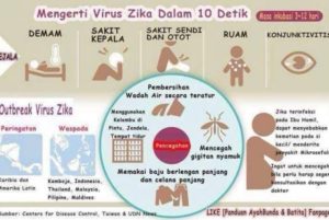 ciri virus zika
