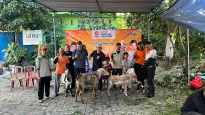 Kedungkandang Distribusikan 1.300 Paket Daging ke 12 Kelurahan