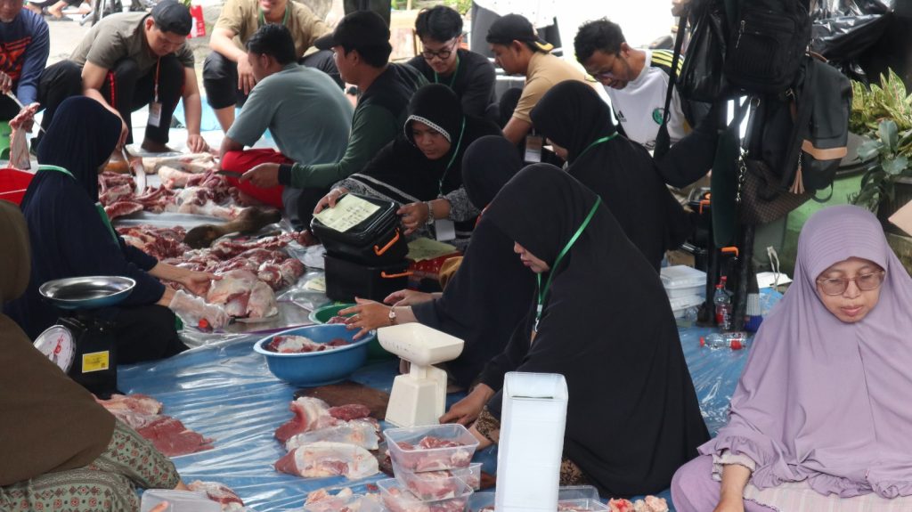 MALANG – Dewan Pengurus Cabang (DPC) PKS Kecamatan Lowokwaru melaksanakan penyembelihan hewan kurban dalam rangka Hari Raya Iduladha 1447 Hijriah pada Sabtu (30/5/2026). Kegiatan ini menjadi bagian dari syiar sekaligus pelayanan kepada masyarakat dengan mengusung tema nasional PKS, “Berkurban, Berbagi, Berdaya.” Pada pelaksanaan kurban tahun ini, DPC PKS Lowokwaru menyembelih 4 ekor sapi dan 24 ekor kambing yang berasal dari partisipasi kader, simpatisan, serta masyarakat yang mempercayakan pelaksanaan ibadah kurbannya melalui PKS. Sejak pagi hari, puluhan panitia dan relawan bergotong royong memastikan seluruh proses penyembelihan berlangsung tertib, aman, dan sesuai syariat. Setelah proses penyembelihan selesai, daging kurban dikemas dan didistribusikan kepada masyarakat di berbagai wilayah Kecamatan Lowokwaru. Ketua DPC PKS Lowokwaru, dr. H. Hari, menyampaikan bahwa ibadah kurban tidak hanya menjadi bentuk ketakwaan kepada Allah SWT, tetapi juga sarana memperkuat kepedulian sosial dan solidaritas masyarakat. “Melalui semangat Berkurban, Berbagi, Berdaya, kami ingin menghadirkan manfaat yang lebih luas. Kurban bukan sekadar ritual ibadah, tetapi juga bentuk nyata kepedulian kepada sesama, mempererat ukhuwah, dan menghadirkan kebahagiaan bagi masyarakat,” ujarnya. Menurutnya, tema kurban tahun ini mencerminkan nilai kebermanfaatan yang tidak hanya dirasakan penerima daging kurban, tetapi juga mendukung pemberdayaan peternak lokal dan memperkuat semangat gotong royong di tengah masyarakat. Melalui kegiatan ini, DPC PKS Lowokwaru berharap semangat berbagi dan kepedulian sosial terus tumbuh, sekaligus memperkuat peran PKS sebagai mitra masyarakat dalam menghadirkan pelayanan dan kebermanfaatan yang nyata.