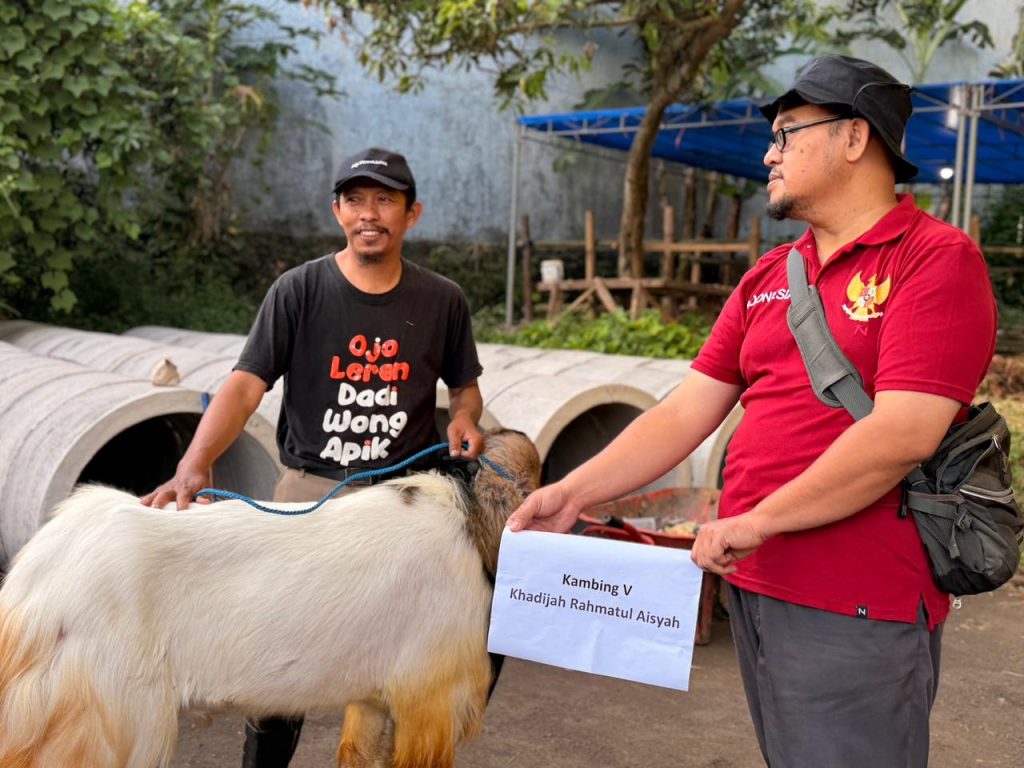 PKS Blimbing Salurkan 1.278 Paket Daging Kurban untuk Masyarakat pada Iduladha 1447 H 1 PKS Blimbing Salurkan 1.278 Paket Daging Kurban untuk Masyarakat pada Iduladha 1447 H